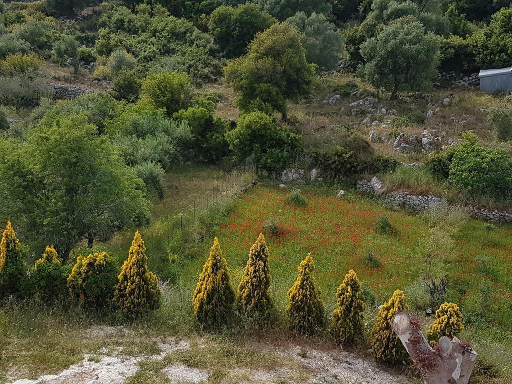 Apartament Alexia Ferentinou Fiskardo Zewnętrze zdjęcie